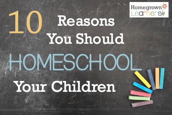 Reasons Why We Homeschool