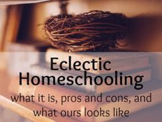 Pros and Cons of Eclectic Homeschooling