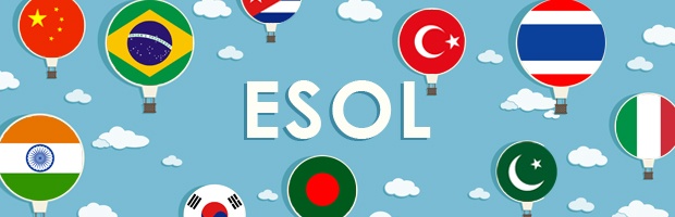 Testing and Evaluation of ESOL Students